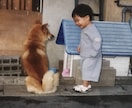 話し相手になります 自分の抱えている思いを誰かに話したい。そんな人に イメージ1