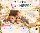 大切なあの子の想いを優しくお届けします ペットの気持ちをやさしくつなぐメッセージ イメージ5