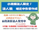 小規模法人様向け【法人税確定申告書】の作成承ります ＜リピート依頼で満枠の場合は個別にご相談・ご連絡ください＞ イメージ1