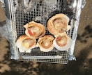 ＢＢＱ（バーベキュー）のプロデュースをします ＢＢＱ幹事のコツをあますところなく教えます イメージ2