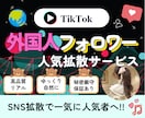 Tiktok外国人フォロワー500人〜増やします ⭐️高品質⭐️ほぼ減少なし⭐️複数アカウント分散可能⭐️ イメージ1