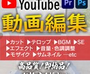 YouTubeやSNS等の動画編集承ります 視聴者の目にとまる素敵な編集を行います イメージ1
