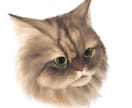 厚塗りで可愛い猫ちゃんイラスト描きます リアルなタッチに寄せたふんわり柔らかな雰囲気のイラスト イメージ4