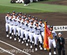 バッティングで悩んでる人に指導します。ます 社会人野球（アマチュア球界トップ）の世界で野球をしていた。 イメージ1