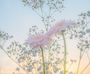 一緒にいるほど分からない夫婦関係と本音を霊視します ｜これからのお二人の未来、心を近づける方法もお伝えします イメージ2