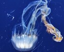 心の嵐や雨が少しでも晴れるように祈ります 受け止めます、その悩み☆メンタル通院歴もあります。 イメージ1