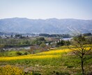 長野県のドライブプラン作成しますます 撮影・絶景も楽しめるドライブルート設計 イメージ3