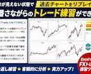 ＦＸトレードの練習環境と管理システムを提供します 練習と反省でＰＤＣＡをまわしながら実力を上げていけます イメージ1