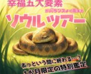 巳年にちなんだ神社を巡るソウルツアーに案内します 【1月限定】 蛇に関連する神社のご利益で今年の開運を イメージ1