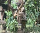 難病患者が良かったら話聞きます 心の中のモヤモヤをはきだしてすっきりしませんか？ イメージ1