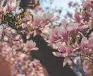 頑張りすぎているママへ✨話し相手になります 子どもは可愛いのに怒ってしまう… イメージ4