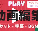 SNS・イベント用動画を丁寧に編集します 初心者の方も大歓迎！とにかく丁寧に対応します！！ イメージ1