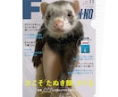 ファッション雑誌の表紙っぽいクリアファイル作ります とっておきの写真であなたのペットを雑誌デビューさせよう！ イメージ3