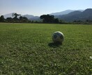 サッカーが上手くなりたいお子さんに提供します 華麗なドリブルを手に入れ周りの選手と差をつけよう！！ イメージ1