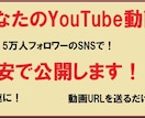 作成動画を5万いいねのSNSで格安公開します インフルエンサーがユーチューバーの再生数増をアシスト！ イメージ1