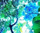 写真提供・写真・画像加工いたします 感動を与える美しい作品をあなたに！ イメージ6