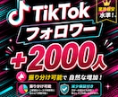 TikTokのフォロワー2000人拡散します 【7月限定最安値】衝撃のコスパで減少保証付き！ イメージ1