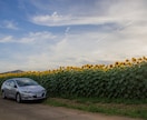 愛車の撮影いたします 自慢の愛車をプロのカメラマンにおまかせください! イメージ1