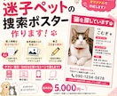 迷子ペットの捜索ポスター作ります 個人情報の記入欄を空白にした作成もOK！ イメージ1
