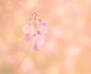 未来幸―運命を動かす特別な鑑定となります 一度限りの人生、幸福な歩みをスタートさせましょう。 イメージ3