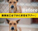 最安値！即日納品OK！プロが写真・画像加工致します 切り抜き・合成何でもOK♪他ではマネできない画像を作成可能♪ イメージ2