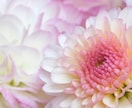 日本の三女神のアチューメントを提供します 菊理姫、木花咲耶姫、瀬織津姫の力で内なる輝きを呼び覚ます。 イメージ5