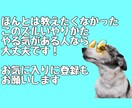 いちばんずるい稼ぎ方を教えます 仕組みをコピペして初期投資無しのずるいやりかたを教えます イメージ2