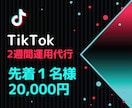 TikTokを2週間運用代行します 丸投げOK！Instagram等の他SNSとの並行運用可能！ イメージ1