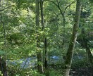地元民が軽井沢旅行スケジュール作ります 軽井沢大好きな地元民ならではの軽井沢の旅プラン作成いたします イメージ5