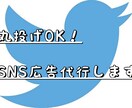 広めたいをサポート！効果的なSNS広告を行います 意味あるSNS広告で効果的なPRを代行いたします！ イメージ1