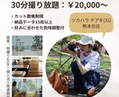 色味で魅せる！お洒落なポートレート撮影します フィルム風エモ加工付き。手軽に、お洒落に。 イメージ3