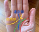 画像付き　手相占い✋メインの線について解説します 48時間以内に鑑定結果をご連絡します。 イメージ3