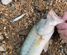 和歌山県御坊市でバス釣りポイント教えます ネットには載っていない和歌山でバス釣りができる野池教えます イメージ1