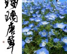 あなたのイメージを私が書道で形にします オリジナルロゴが必要な方へ、私の書道の力をお貸しします！ イメージ10