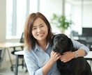 明るく自然な女性ボイスを心を込めて収録します 現役トリマーが、心に届くやさしい声をお届け イメージ3