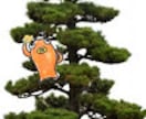 動画編集します 実写動画、ゲーム実況者、などをやらせていただきます返品不可 イメージ1