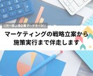 マーケティングの戦略立案から施策実行まで伴走します 貴社の課題に合わせて、現役マーケターが最適な提案をします イメージ1