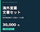 海外営業の英文資料と日英メールを作成します 製品紹介１枚と営業メール３通をまとめて準備 イメージ1