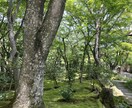 気楽にお話しませんか^ ^是非宜しくお願いします どんな内容でも歓迎です！リラックスしてお話しでれば◎ イメージ1