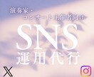 演奏会集客のためのSNS運用を代行します 演奏家・コンサート企画の世界観づくりからサポート イメージ1