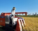 自然栽培米（無肥料・無農薬栽培）お米つくり教えます 家族の為に健康で暮らせる超美味しいお米を作ろう イメージ16