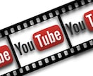 YouTube動画の企画〜分析までアドバイスします 狙うべき視聴者に刺さる動画を！ イメージ1