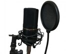 クセつよ女性ボイス♪ナレーション・キャラ声承ります ひとくせある声色と確かな演技力で動画に魅惑のエッセンスを♪ イメージ2