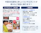 中国SNS「RED/小紅書」に関する相談に乗ります アカウント運用から連絡先の交換方法まで幅広くご相談可能！ イメージ2