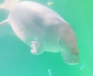 現役カウンセラーがあなたの気持ち受け止めます 愚痴でもお悩みでも雑談でも...話してスッキリしませんか？ イメージ6