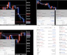 あなたのFXトレード手法パフォーマンスを改善します 複数の通貨ペアを負担なく同時運用も可能に イメージ3