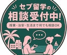 授業・治安・生活まで、セブ留学の不安を相談できます 3ヶ月留学＋現地勤務経験をもとにサポート！⭐︎ イメージ1