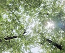 30分、あなたの話し相手になります スキマ時間にちょこっと話しませんか？ イメージ2