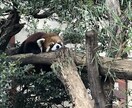 なんでも話したこと聞きます 友人や家族など身近で話せないことなどなんでも聞きます。 イメージ2