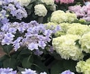 うつ適応障害復職不安｜精神科看護師25年が聴きます まとまってなくて大丈夫。安心して今の気持ちを話して下さい イメージ7